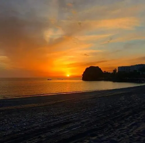 Ristorante La Scogliera 阿曼泰阿