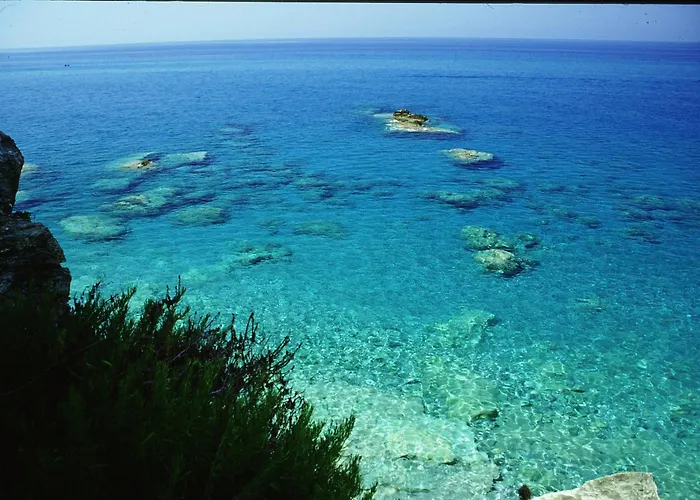 Hotel Ristorante La Scogliera Amantea